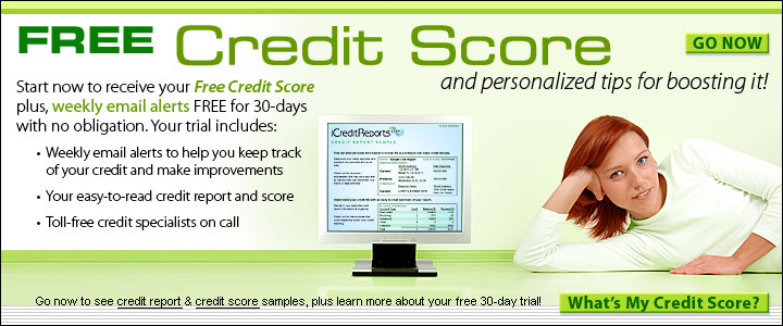Credit Score Services